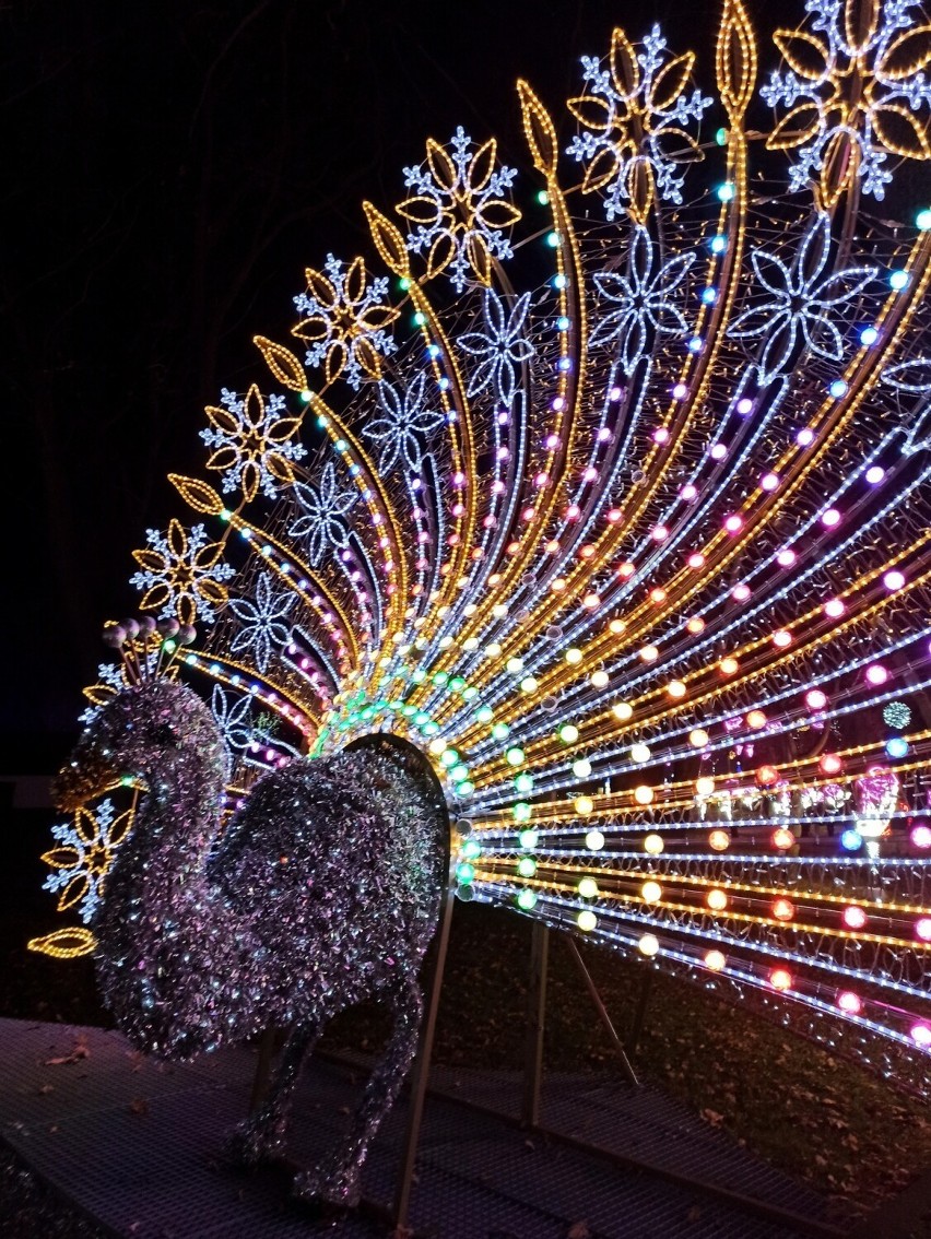 Zabrze: Otwarto Park Miliona Świateł