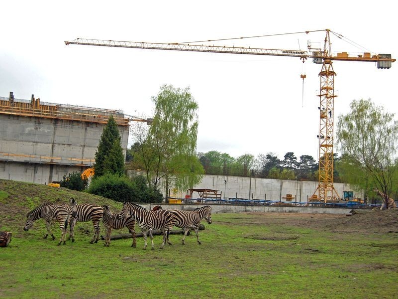 Afrykarium - zoo Wrocław