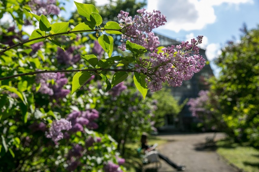 Wycieczka do ogrodu Botanicznego to świetny pomysł na...