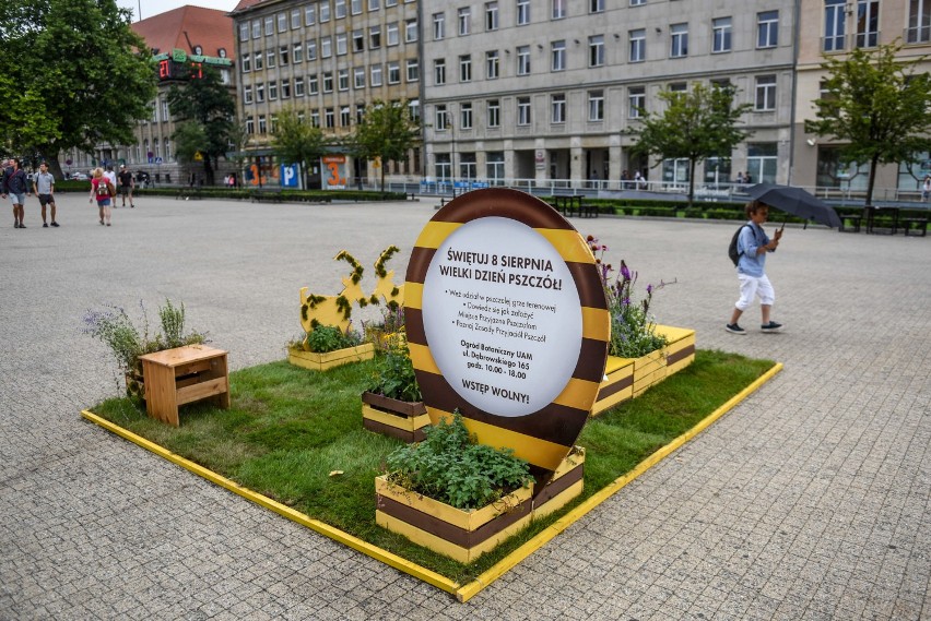 8 sierpnia Wielki Dzień Pszczół w Poznaniu