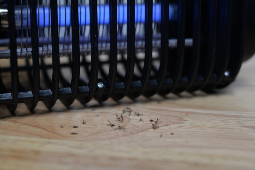 Jak skutecznie pozbyć się much i komarów z domu? Zamontuj niezwodną lampę owadobójczą. Sprawdź, jaka lampa na owady jest najlepsza
