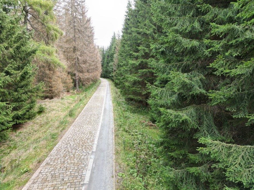 Kręgielny Trakt - nowa trasa pieszo-rowerowa już otwarta.