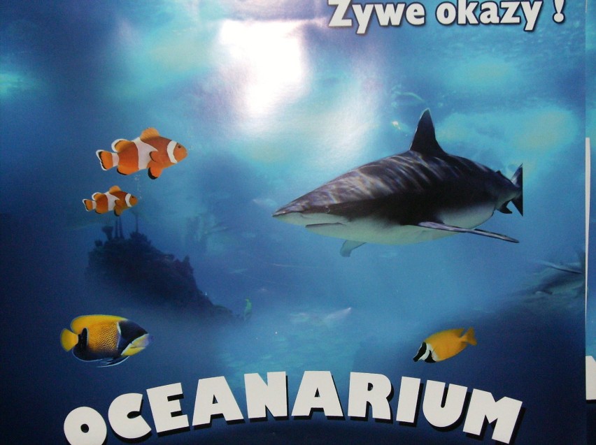 Oceanarium zaprasza, Fot. Adrian Starczewski