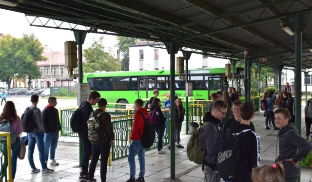 PKS Zielona Góra uruchomił dodatkowe kursy autobusowe do Krosna Odrzańskiego.