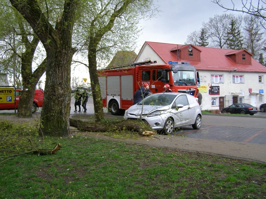 Złamane drzewo nad samochodem