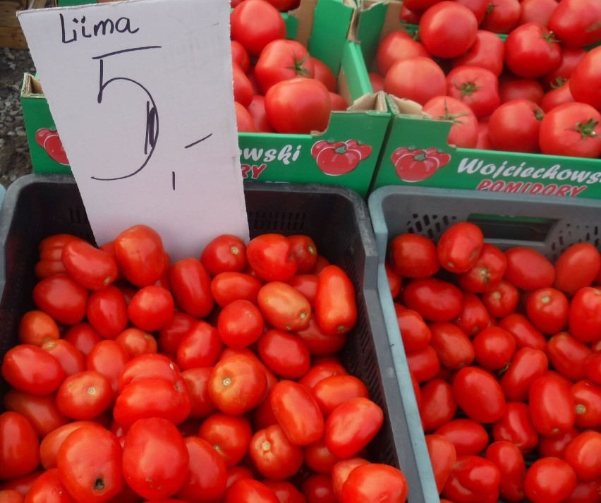 Pomidory Lima kosztowały 5 złotych za kilogram