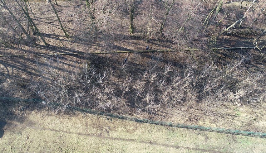 Dziura w jezdni, nielegalne wysypisko, lampa nie świeci? Zgłoś problem przez aplikacje 