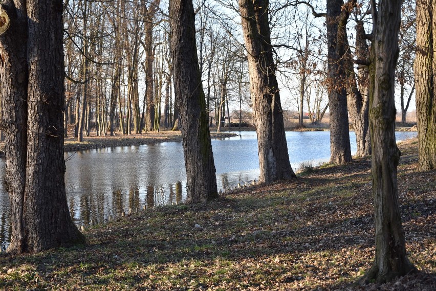 Breń. Odnowiony park i stanica rowerowa. To będzie hit turystyczny?