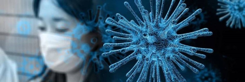 Raport - Ministerstwo Zdrowia - nowe zakażenia koronawirus - 20 lipca 2020