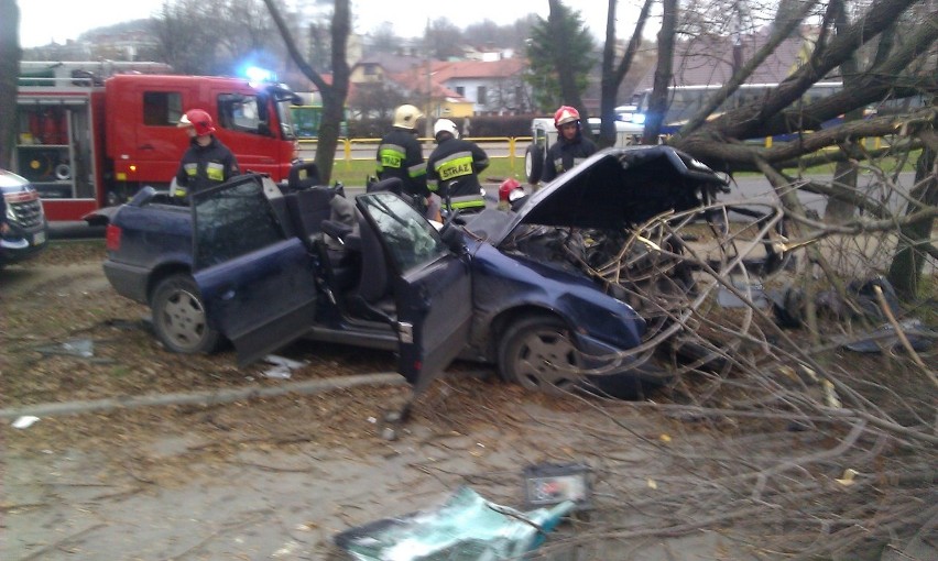 Chełm: Audi wjechało w drzewo, ranne dzieci. Kierowca miał padaczkę. Zdjęcia