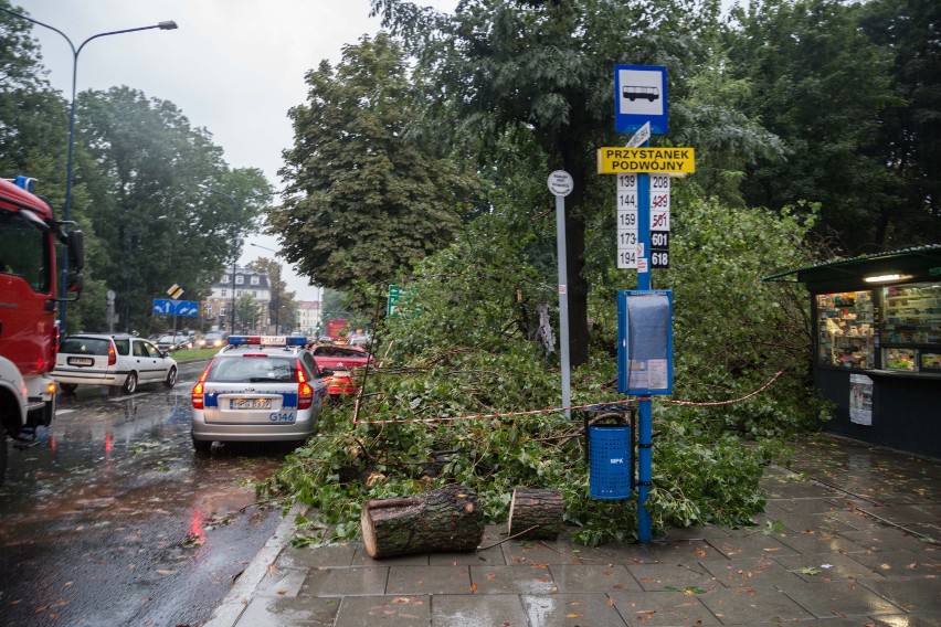 Kraków wypadek. Na ul. Czarnowiejskiej na auta spadły drzewa [ZDJĘCIA]