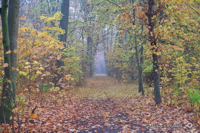 Mroczna historia pięknej kaplicy w Taczanowie Drugim. Jej...