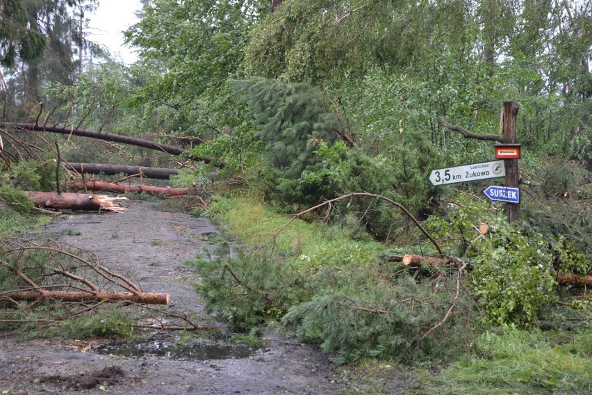 Słupsk. Prokuratura skierowała do sądu akty oskarżenia po tragedii w Suszku