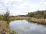 Starostwo powiatowe w Radomsku proponuje akcję „Operacja Czysta Rzeka”, czyli sprzątanie brzegów Warty