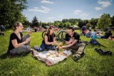 O kulturze z sąsiadami na pikniku. Fajna inicjatywa w gminie Żarów