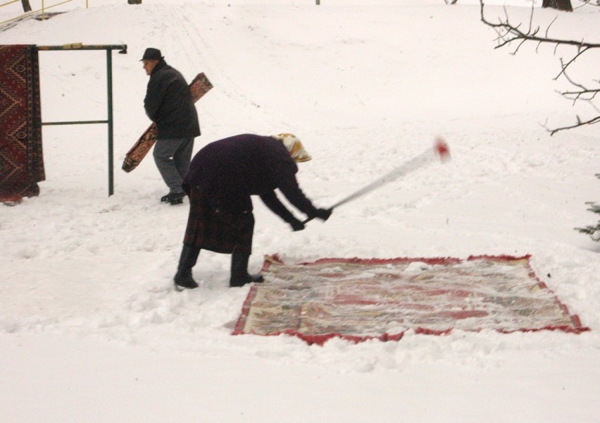 2005.02.17. Zielona Góra Park Tysiąclecia i zimowe porządki