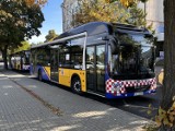 Kłopoty z busami na trasie Głogów - Polkowice. Czy miasta rozwiążą problem? WIDEO