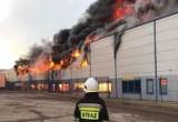 Pożar w Cersanicie w Starachowicach. Jakie skutki dla spółki? Zarząd jest na miejscu dramatu 