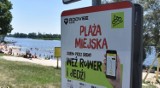 "Przyducha" na Jeziorze Grzymisławskim! Kąpielisko na Plaży Miejskiej w Śremie zamknięte! 