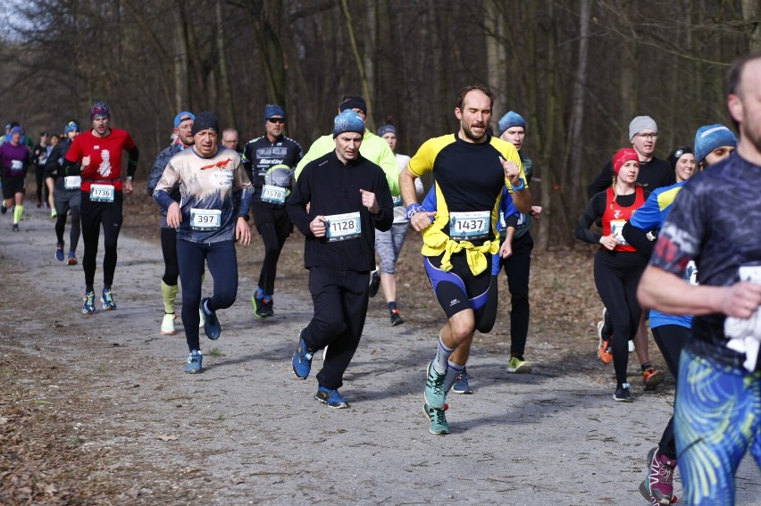 City Trail z Nationale-Nederlanden w Warszawie