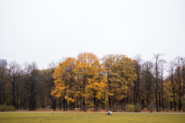 W weekend będzie ciepło i słonecznie