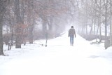 Zawieje śnieżne i opady marznące. Aktualne ostrzeżenia IMGW i prognoza pogody na 24 grudnia