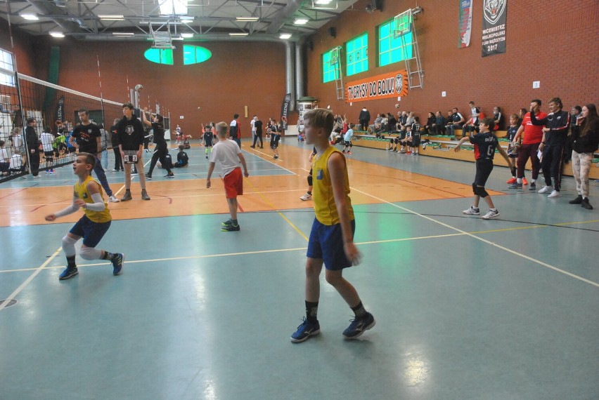 Noworoczny Turniej Minisiatkówki Dwójek w Lesznie to ważny sprawdzian dla młodych zawodników przed Mistrzostwami Wielkopolski [ZDJĘCIA] 