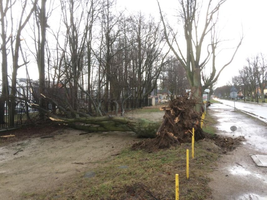 Wichura w powiecie puckim: Władysławowo