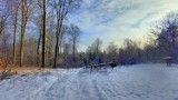 Biały Zielony Las w Żarach. Zimą wygląda magicznie i bajkowo, ale nawet bez śniegu, warto tu spacerować