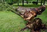 Nad powiat szczecinecki nadciąga burza. Wydano alert meteo 