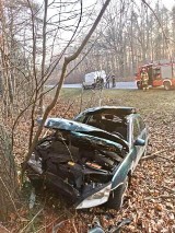 Wypadek w Lipiczach w pow. częstochowskim. Samochód zderzył się z łosiem, kierowca trafił do szpitala