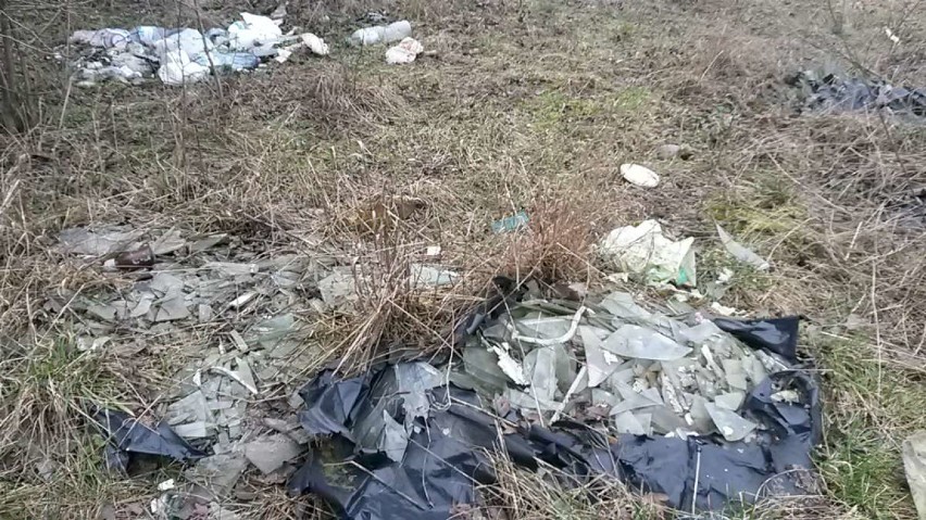 Gniezno: śmieci na Kustodii
