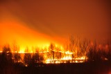 Pożar traw na Stabłowicach [foto]