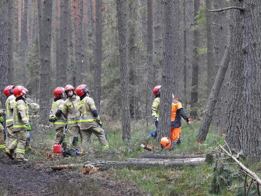 Ćwiczenia lubelskich strażaków w Nadleśnictwie Biłgoraj. Zobacz zdjęcia