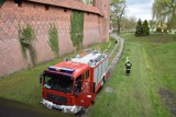 Malbork. We wtorek duże ćwiczenia w zamku. Zwiedzanie będzie utrudnione, ale nie niemożliwe