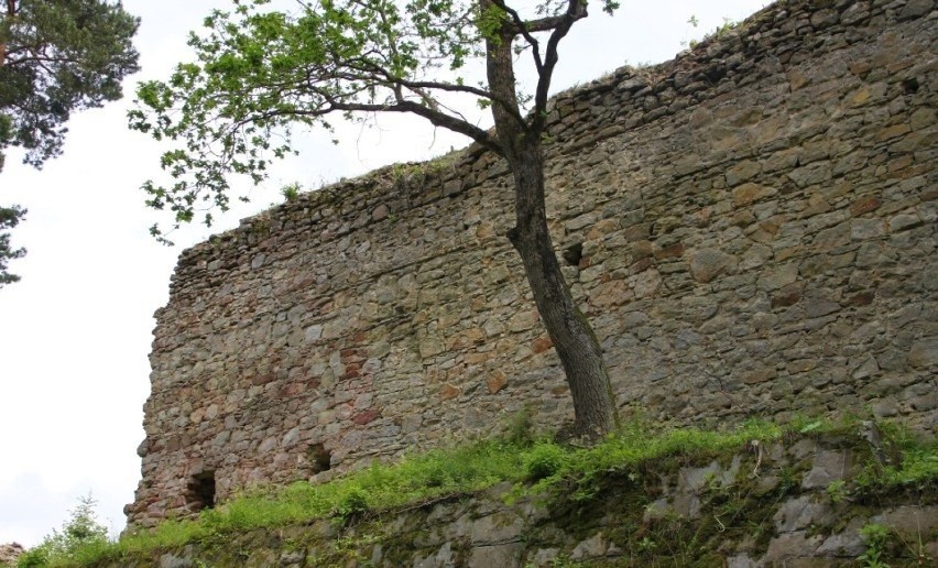 Rożnów. Kiedy w końcu ruszy odbudowa zamku Zawiszy Czarnego? [ZDJĘCIA]