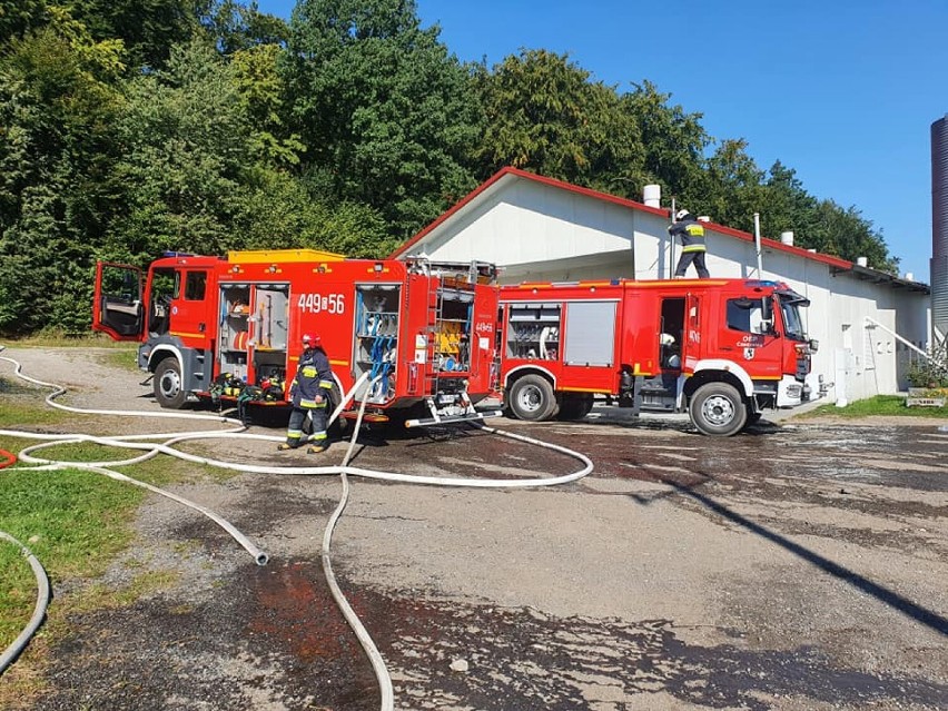 Pożar w Kczewie - palił się kurnik. Straty oszacowano na 100 tys. zł