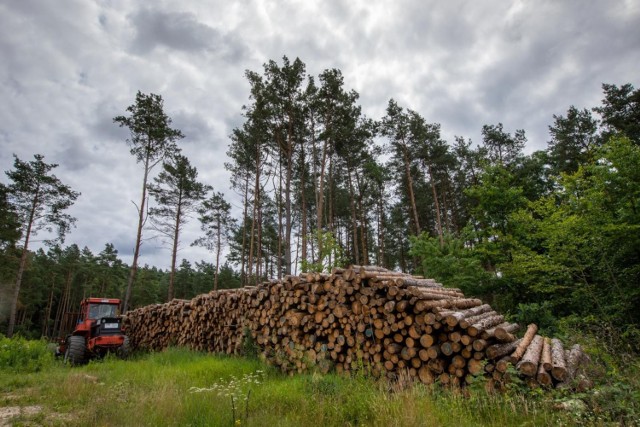 Las przy ul. przy ul. Baranowskiego w sąsiedztwie cmentarza Obozu Przejściowego w Smukale Dolnej jest prywatny, ale znalazł się w kręgu zainteresowania opinii publiczne, bo ma znaczenie dla lokalnej społeczności: tworzy korzystny mikroklimat i skrywa historię. Mieszkańcy nie chcą, by powstało tu osiedle mieszkaniowe