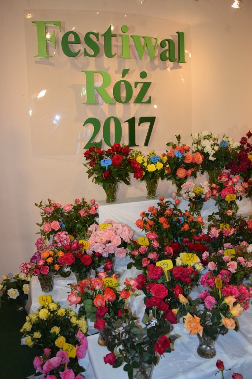 5. Festiwal Róż w Łasku. Konferencja