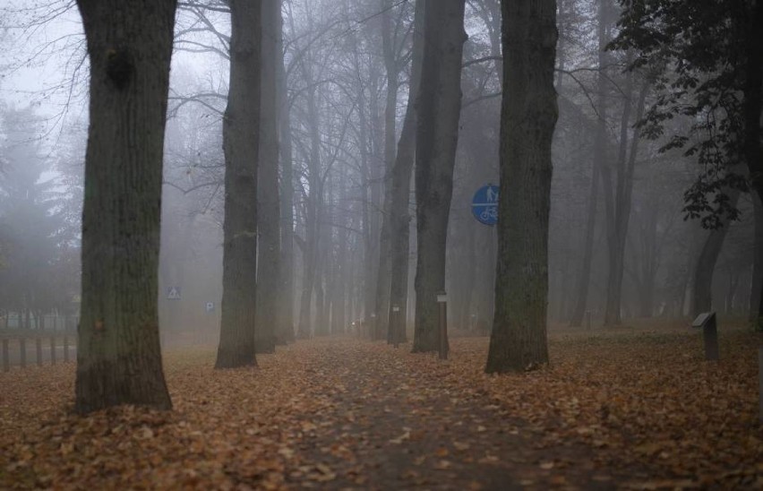 Park w Goleniowie oświetlony na pół gwizdka. A nawet mniej