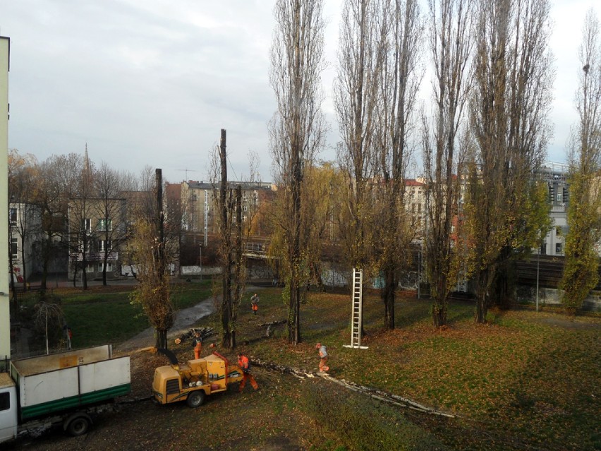 Wycinka drzew w rejonie ul. Granicznej