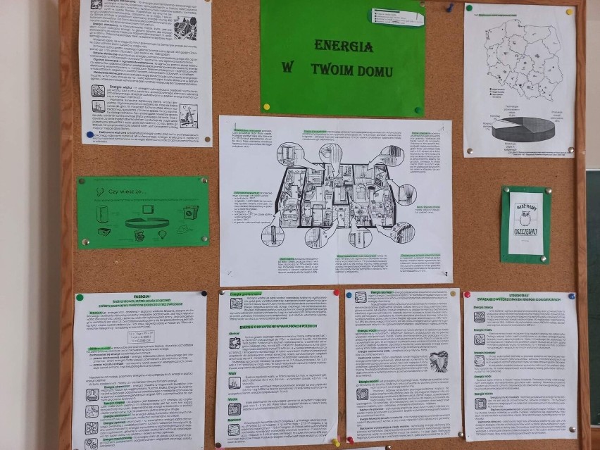 Kazimierska „jedynka” podsumowała projekt „Ekologiczna szkoła”. Uczniowie pracowali na rzecz lokalnego środowiska. Zobaczcie zdjęcia