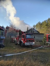 Pożaru pustostanu w lesie - Zakrzewo Wybudowanie