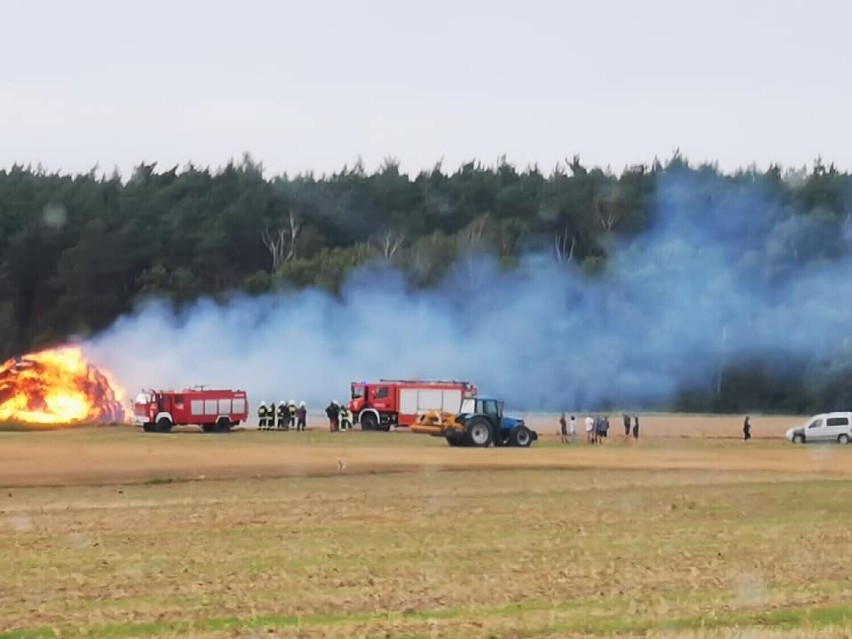 Finał sprawy serii pożarów w powiecie grodziskim. Tomasz F. usłyszał wyrok 