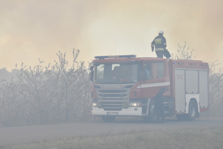 Kolejny pożar nieużytków przy S8! Do akcji ściągnięto samolot gaśniczy (NOWE ZDJĘCIA) (AKTUALIZACJA)      