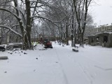 Nowy park w Słupsku ma już swoją nazwę. Więcej zobaczymy wiosną