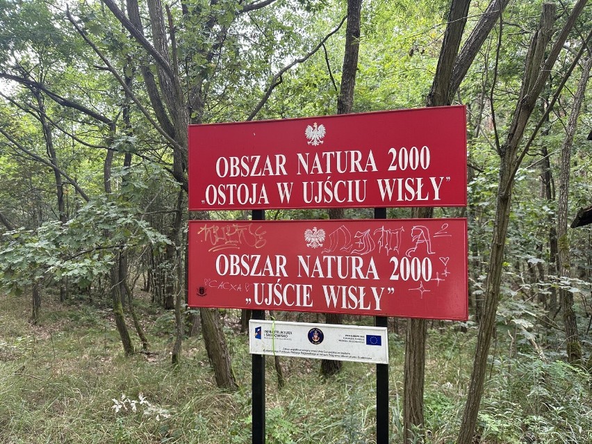Mewia Łacha to przede wszystkim rezerwat ornitologiczny....
