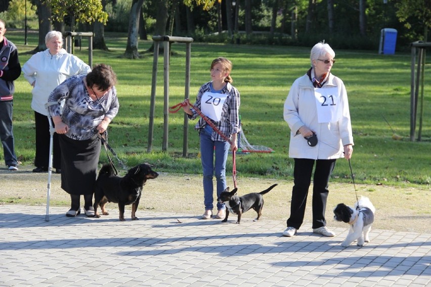 Syców: Wystawa zwierząt osiedlowych