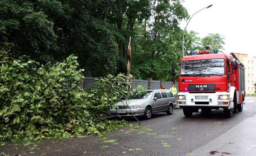 Drzewo spadło na samochód na Zygmunta Starego
