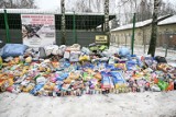 W Częstochowie przeprowadzono zbiórkę dla bezdomnych zwierząt. Dary już zostały przekazane